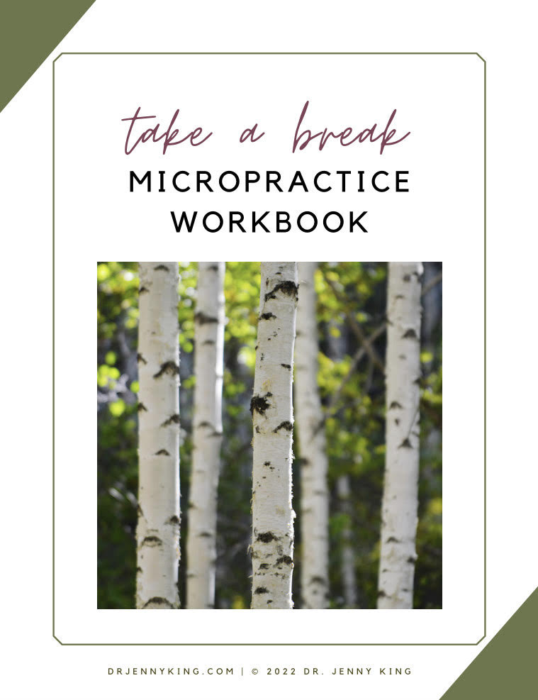 Take A Break Micropractice Workbook (Digital Download)